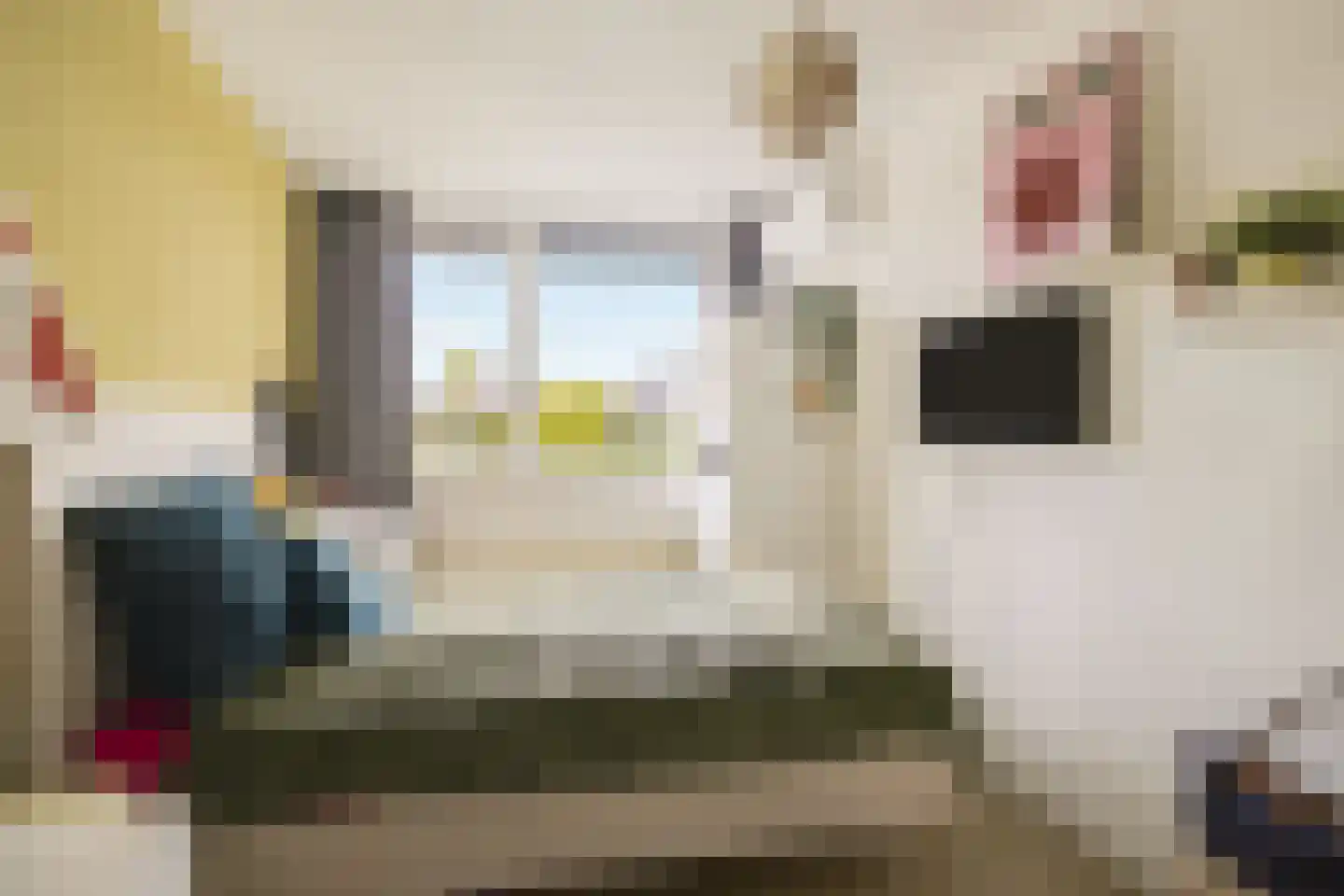 Koekoeksbloem 2 Heerjansdam thumbnail 32