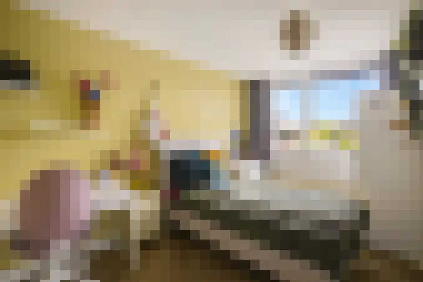 Koekoeksbloem 2 Heerjansdam thumbnail 33