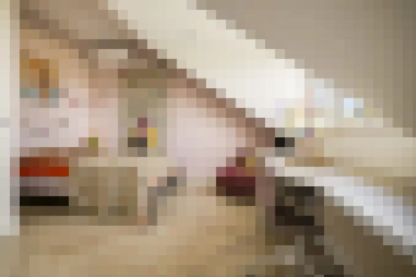 Koekoeksbloem 2 Heerjansdam thumbnail 39