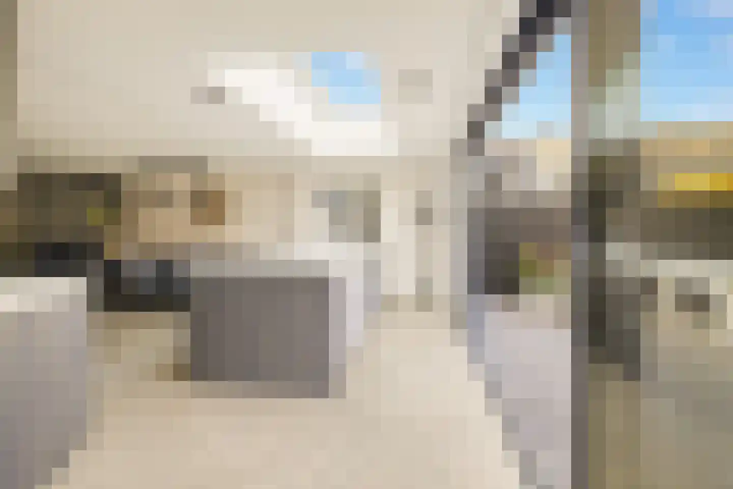 Koekoeksbloem 2 Heerjansdam thumbnail 4
