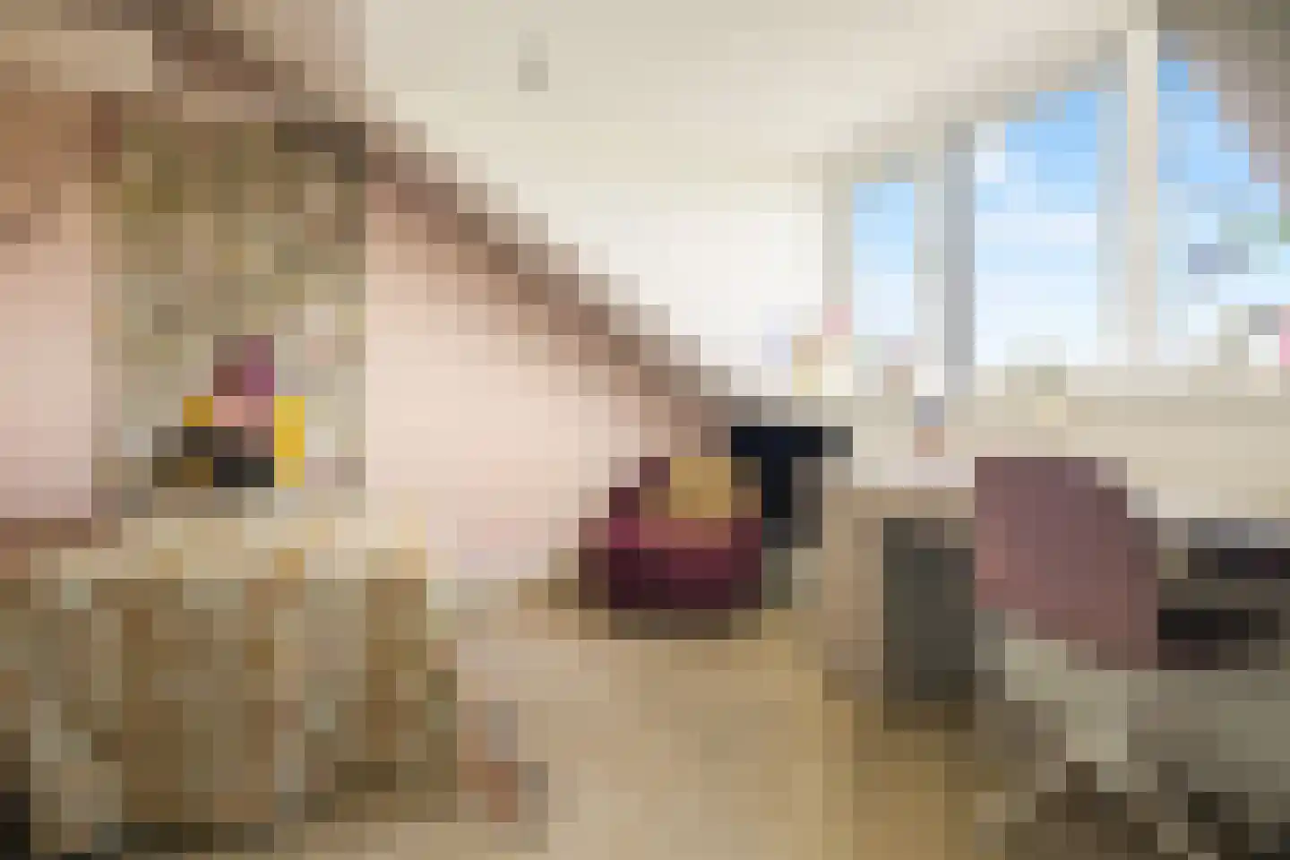 Koekoeksbloem 2 Heerjansdam thumbnail 40