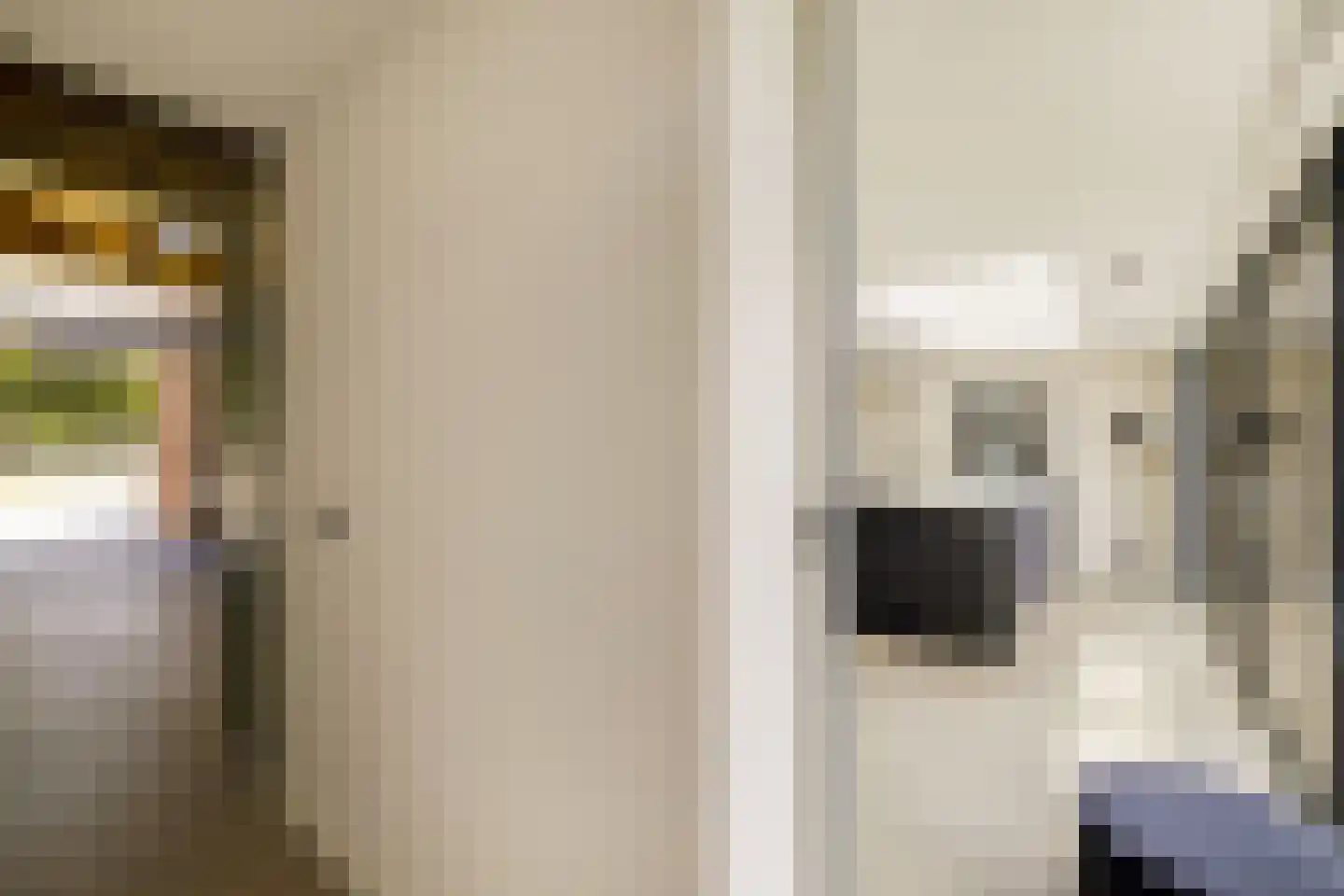 Koekoeksbloem 2 Heerjansdam thumbnail 41