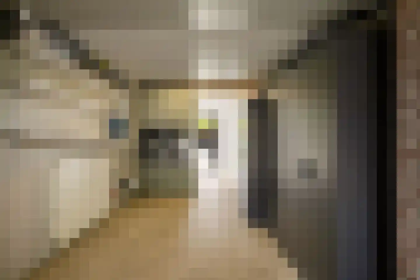 Koekoeksbloem 2 Heerjansdam thumbnail 42