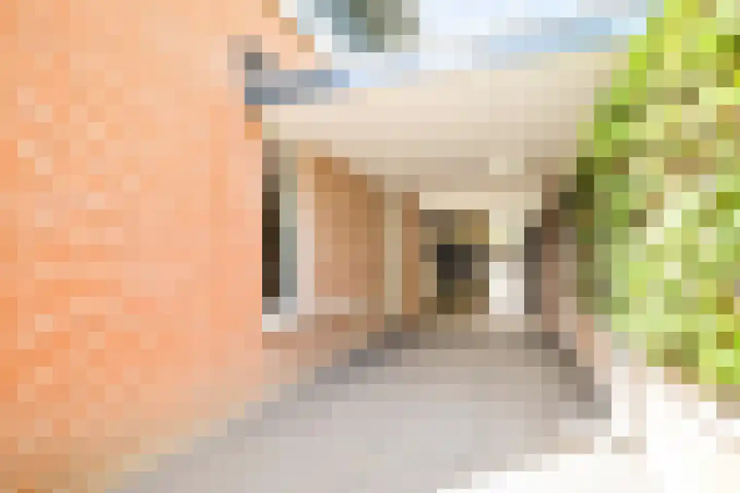 Koekoeksbloem 2 Heerjansdam thumbnail 43