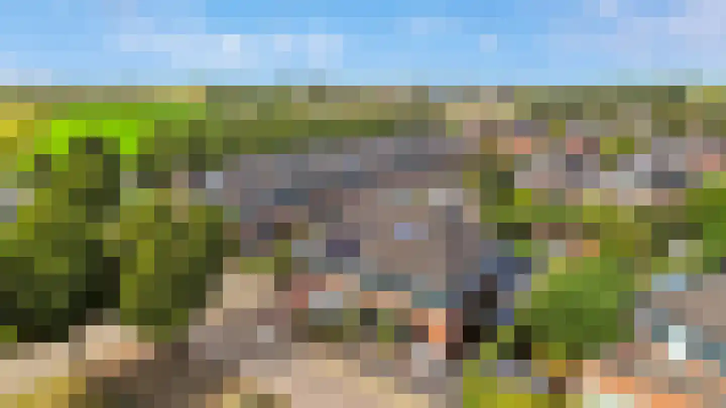 Koekoeksbloem 2 Heerjansdam thumbnail 45