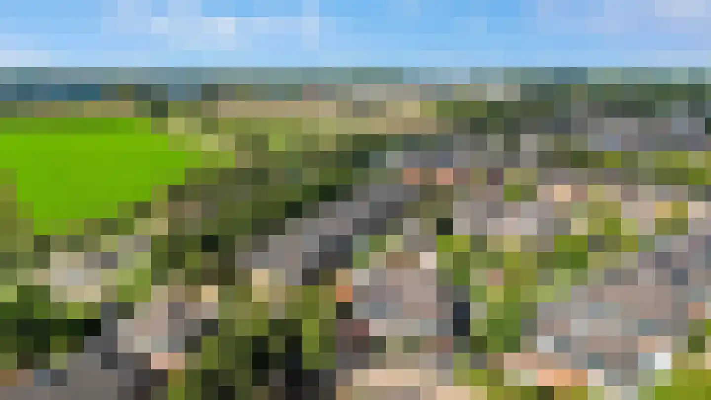 Koekoeksbloem 2 Heerjansdam thumbnail 46