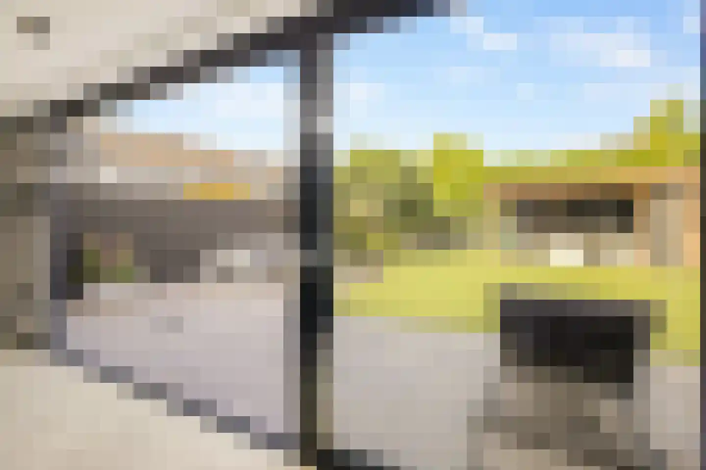 Koekoeksbloem 2 Heerjansdam thumbnail 8