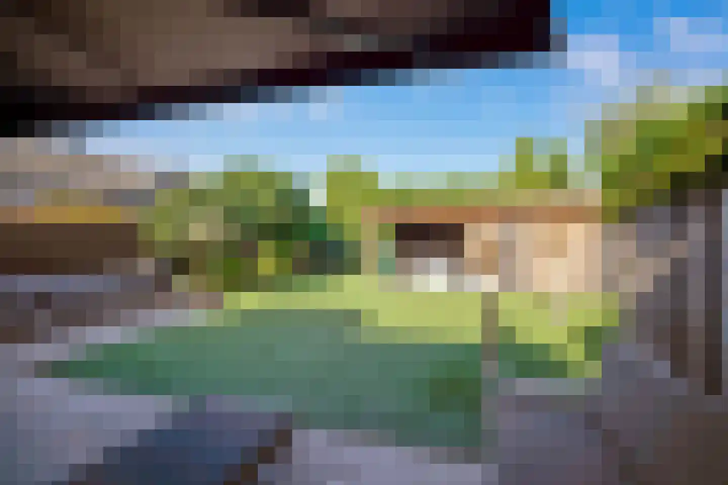 Koekoeksbloem 2 Heerjansdam thumbnail 9