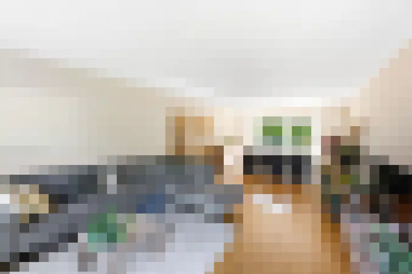 Koekoeksbloem 20 Hulst thumbnail 12