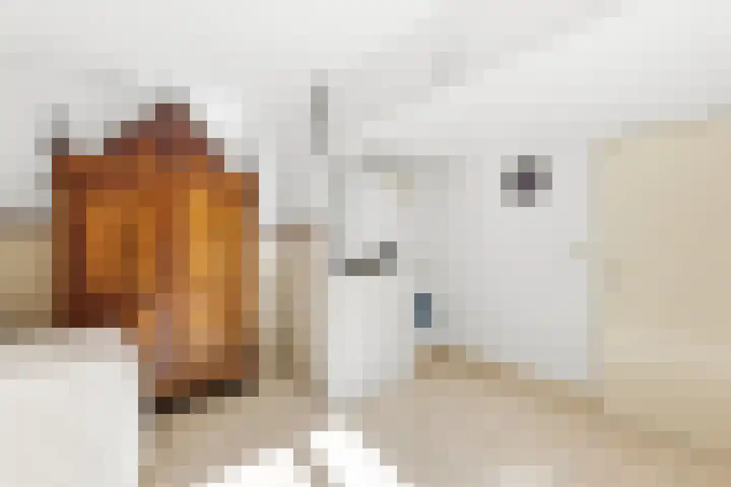 Koekoeksbloem 20 Hulst thumbnail 20