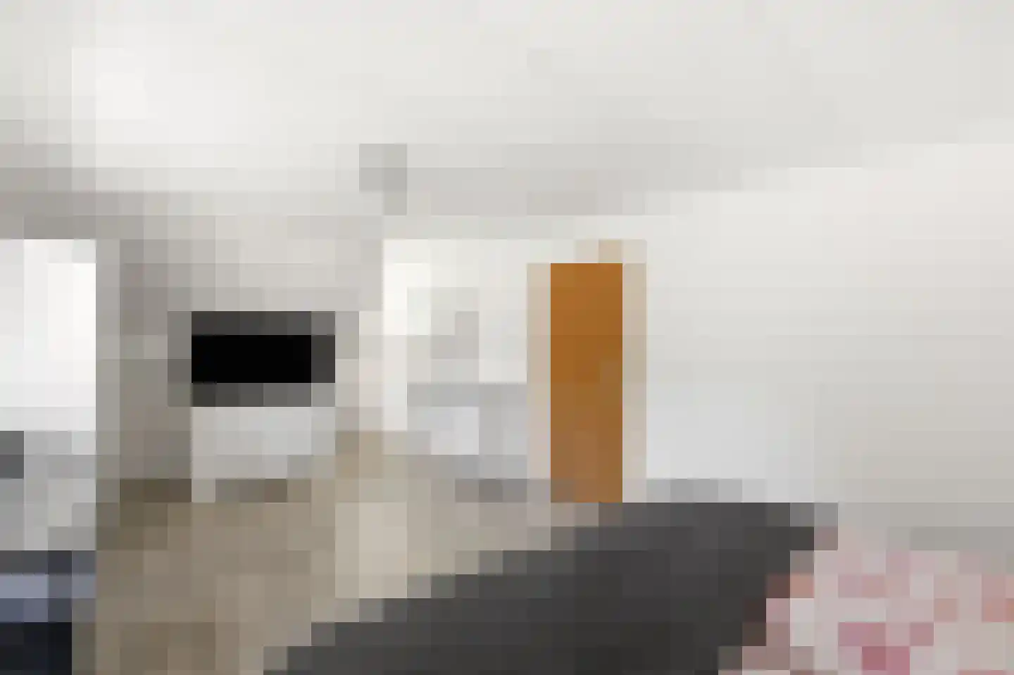 Koekoeksbloem 20 Hulst thumbnail 24