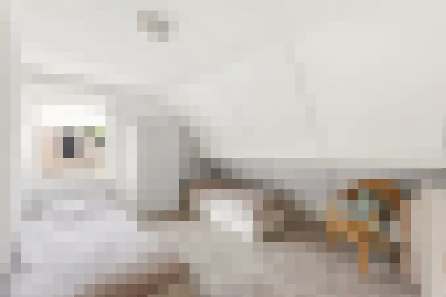 Koekoeksbloem 20 Hulst thumbnail 27