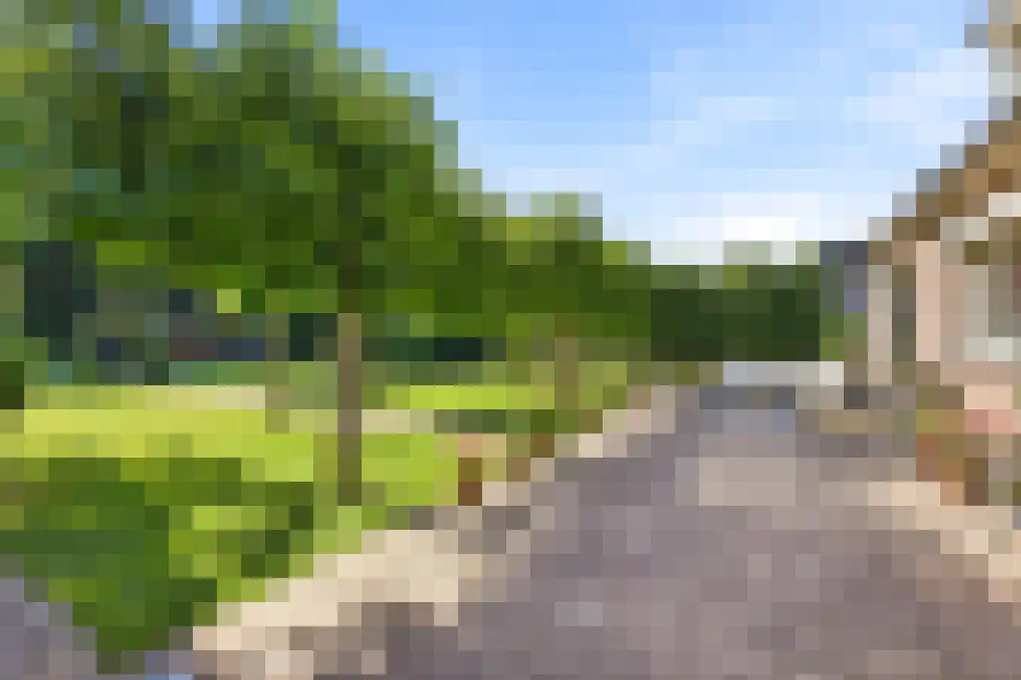 Koekoeksbloem 20 Hulst thumbnail 32