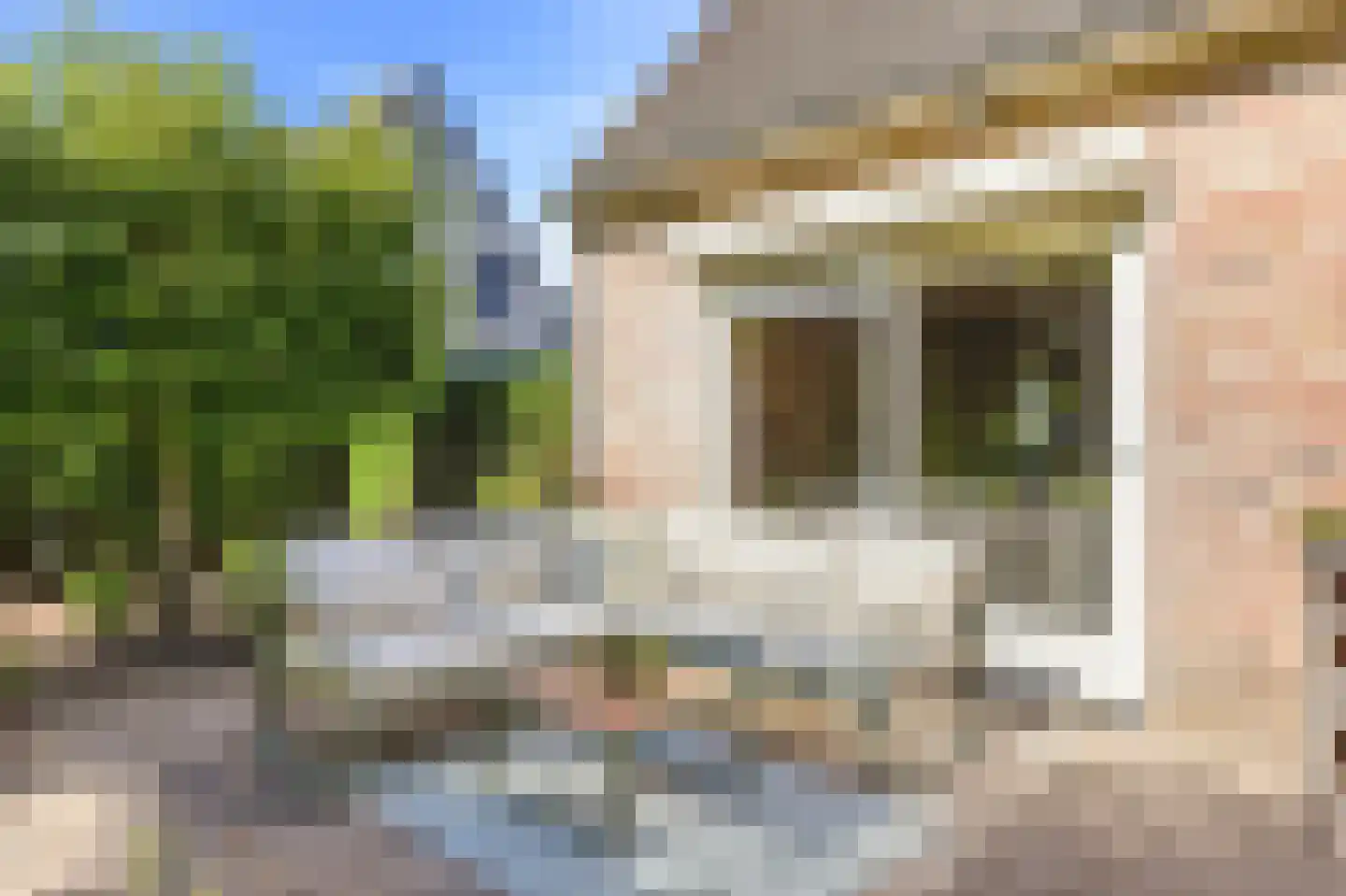 Koekoeksbloem 20 Hulst thumbnail 34