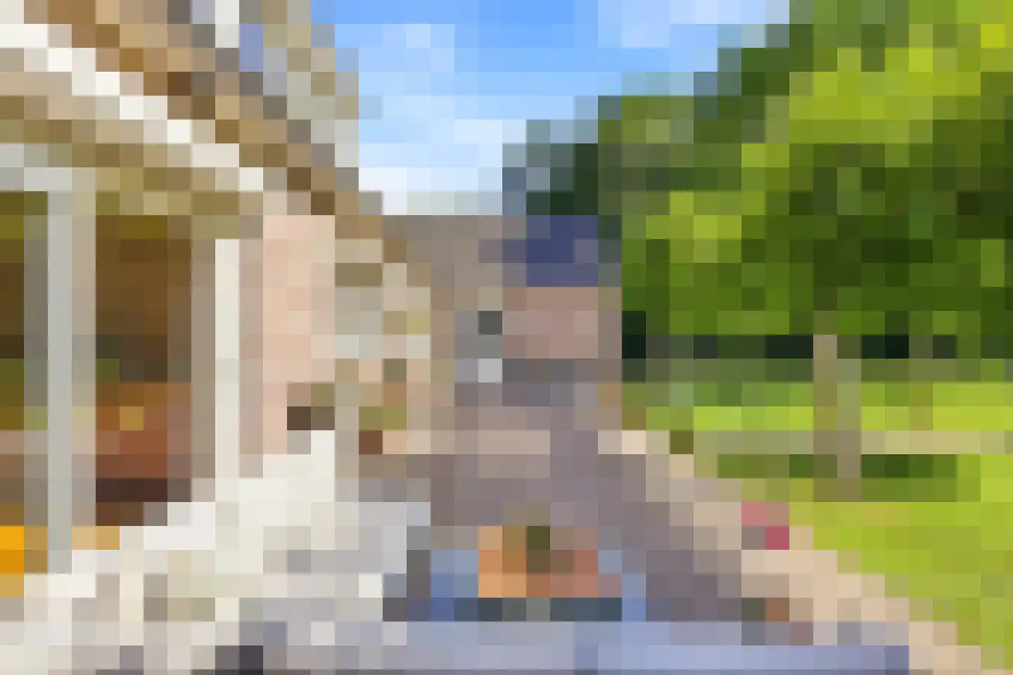 Koekoeksbloem 20 Hulst thumbnail 35
