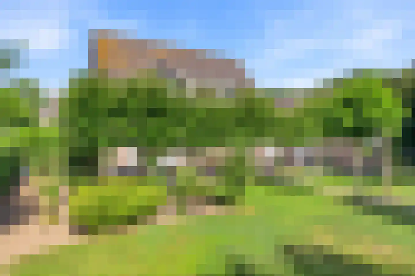 Koekoeksbloem 20 Hulst thumbnail 37