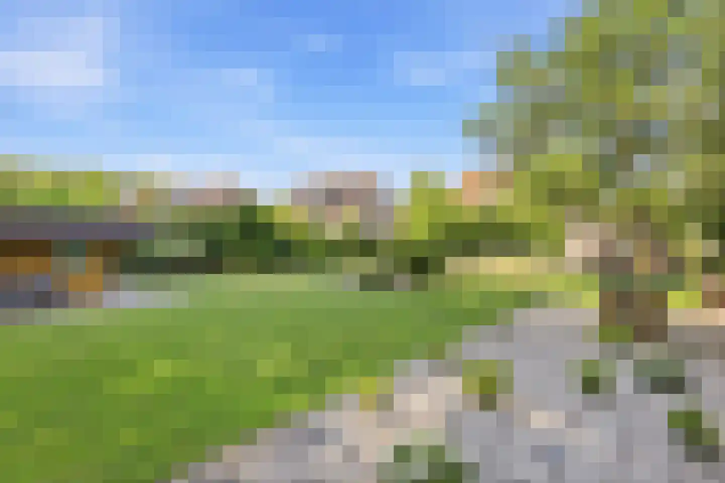 Koekoeksbloem 20 Hulst thumbnail 40