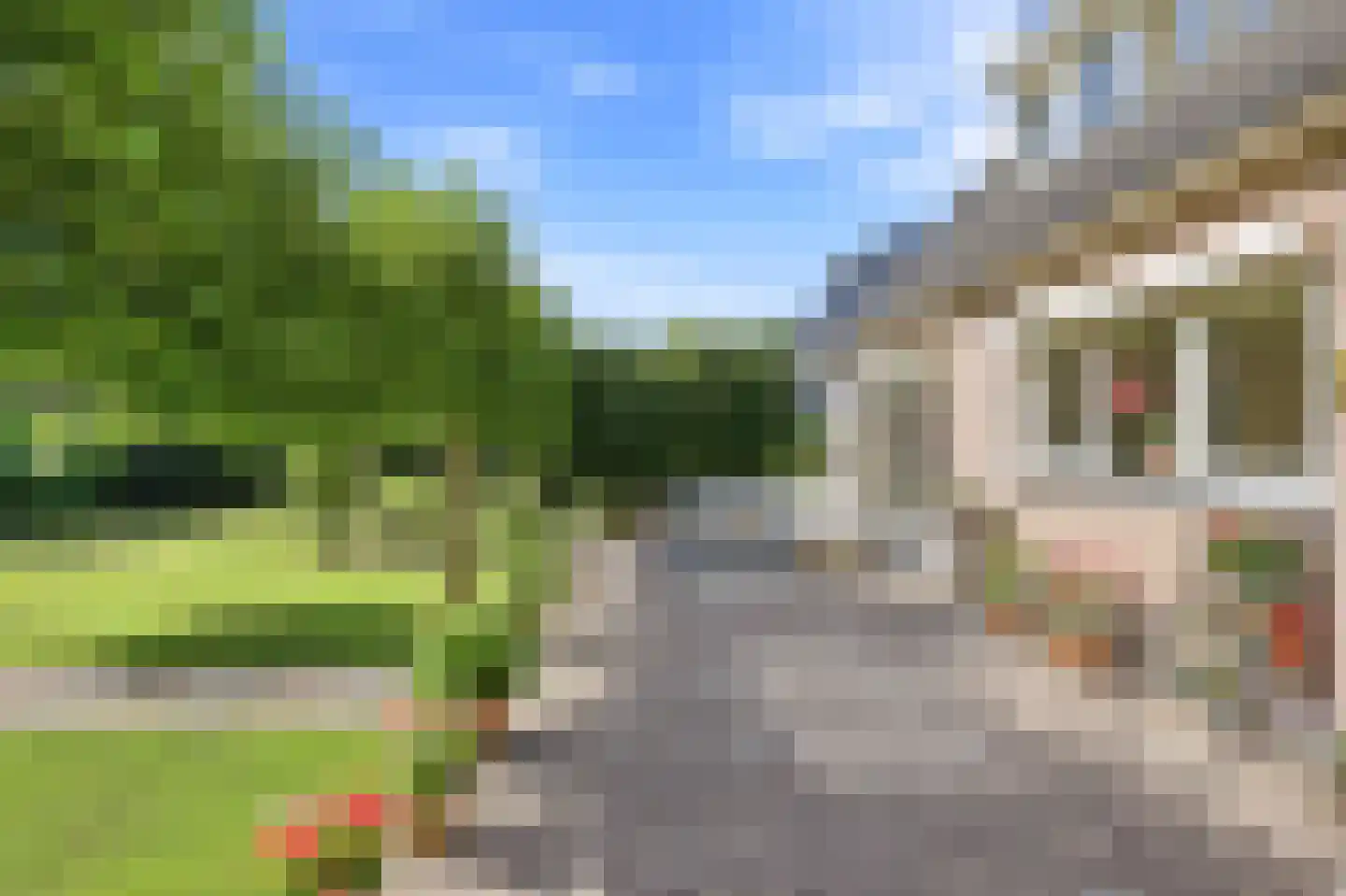 Koekoeksbloem 20 Hulst thumbnail 41