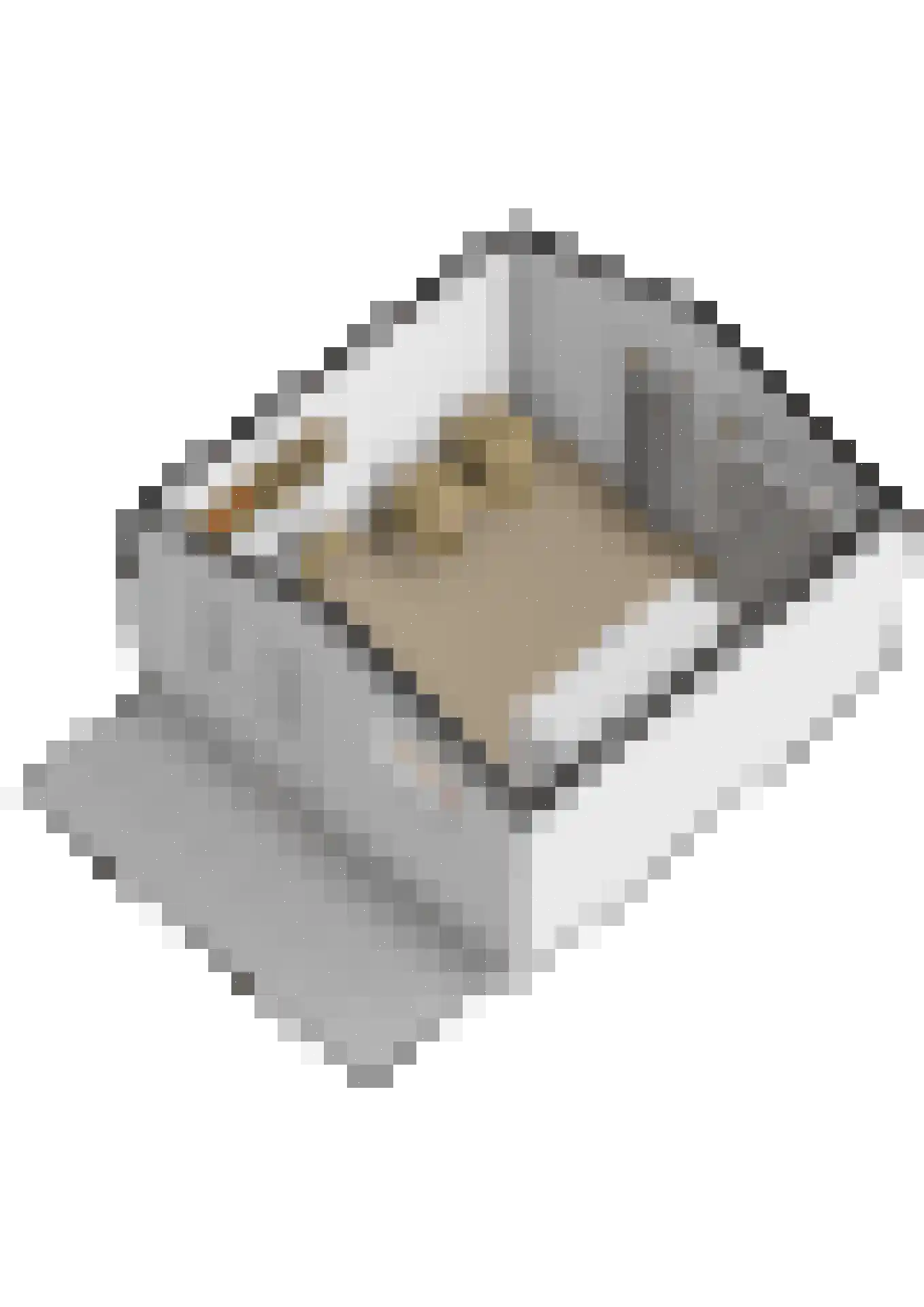 Koekoeksbloem 20 Hulst thumbnail 47