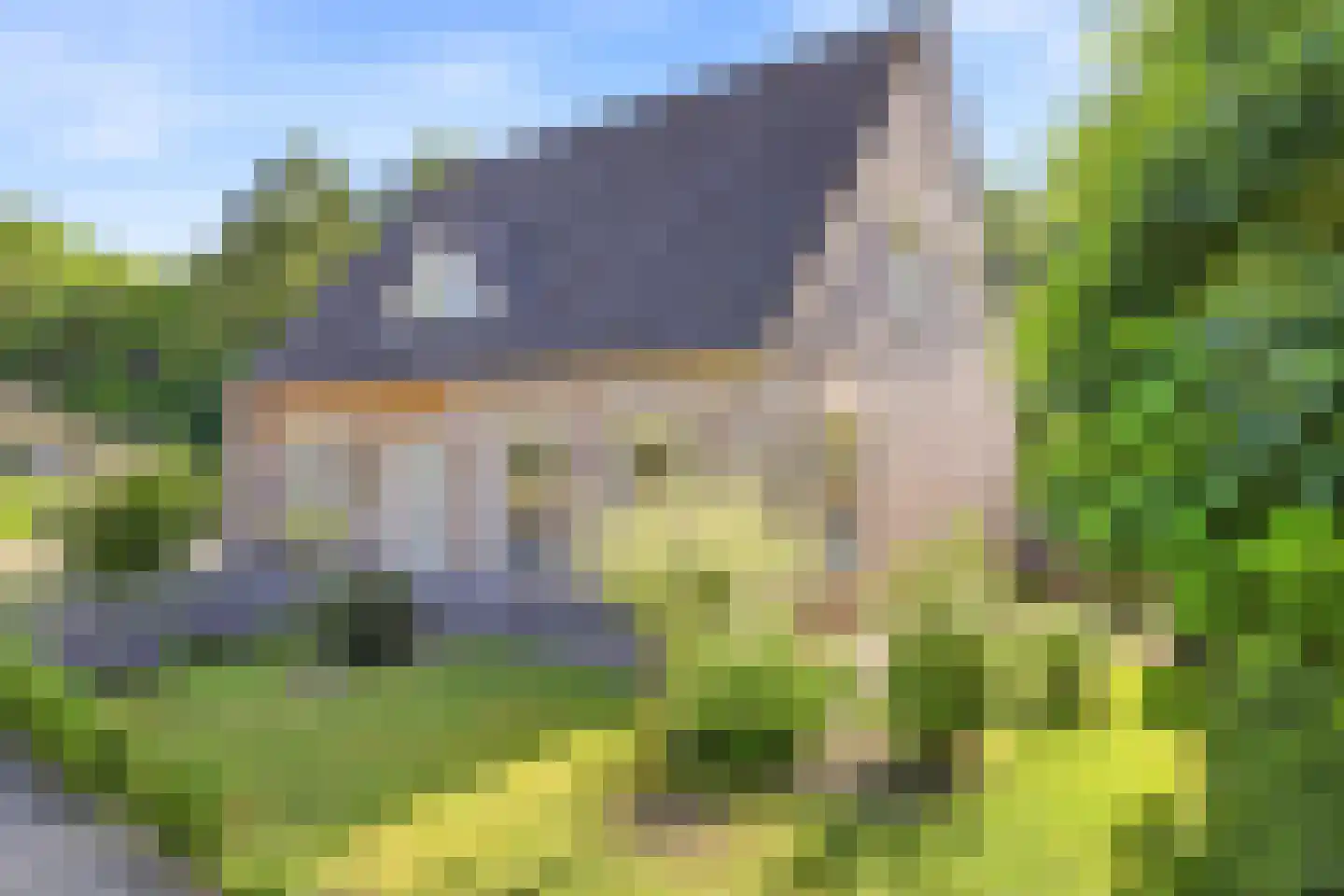 Koekoeksbloem 20 Hulst thumbnail 6