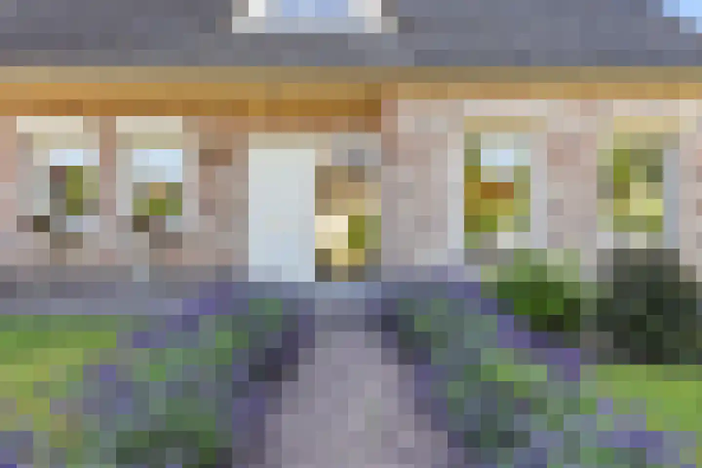 Koekoeksbloem 20 Hulst thumbnail 7