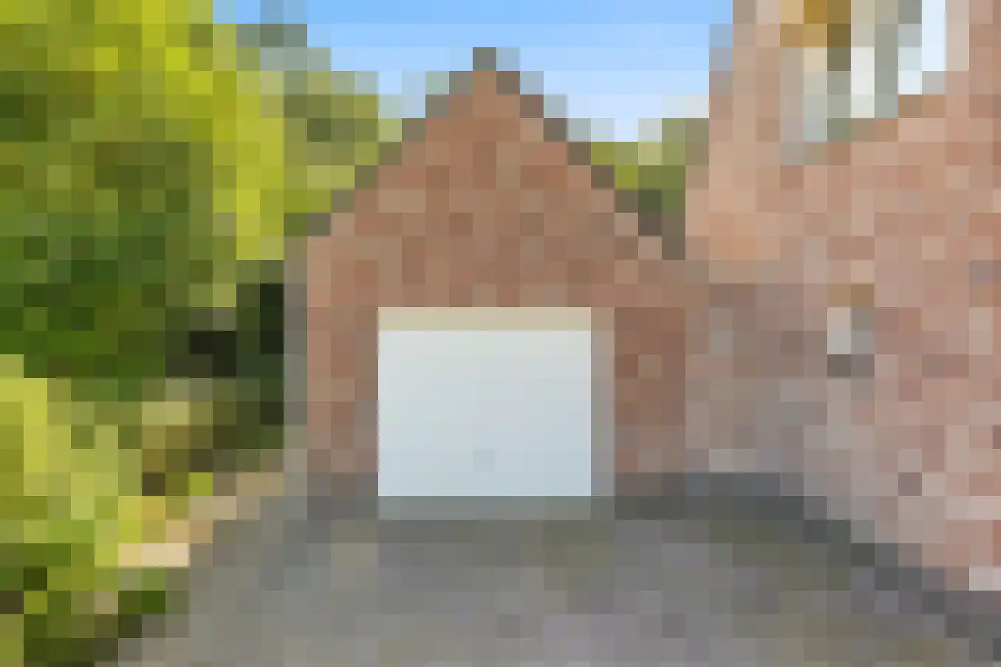 Koekoeksbloem 20 Hulst thumbnail 8