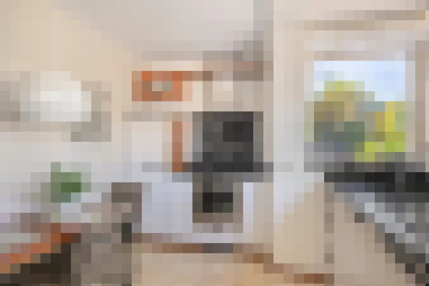 Koekoeksbloem 24 Heerjansdam thumbnail 13