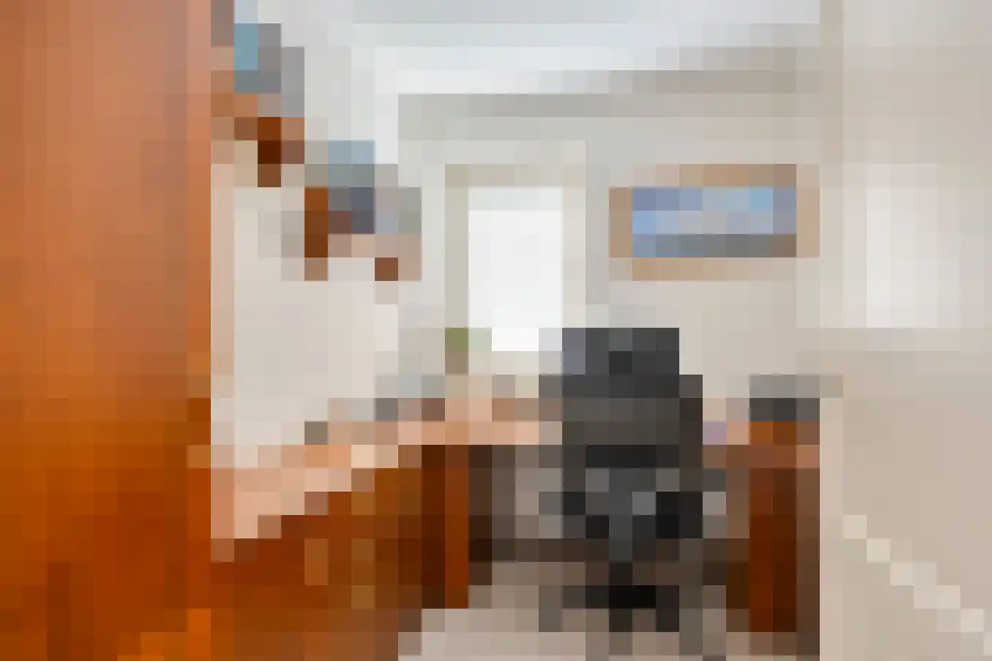 Koekoeksbloem 24 Heerjansdam thumbnail 15