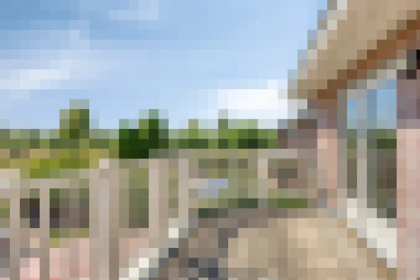 Koekoeksbloem 24 Heerjansdam thumbnail 21