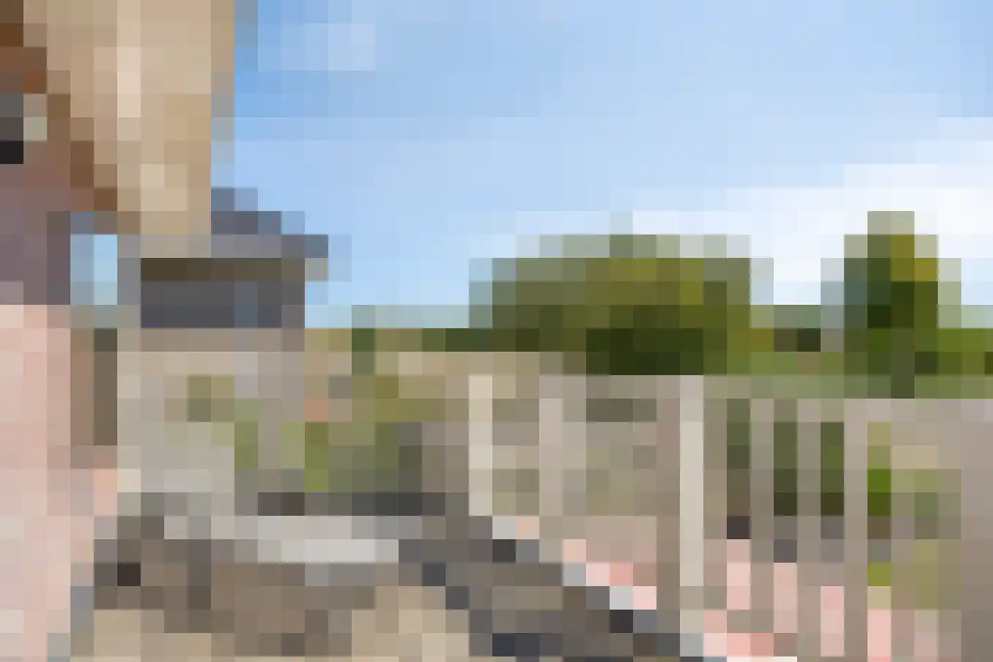 Koekoeksbloem 24 Heerjansdam thumbnail 22