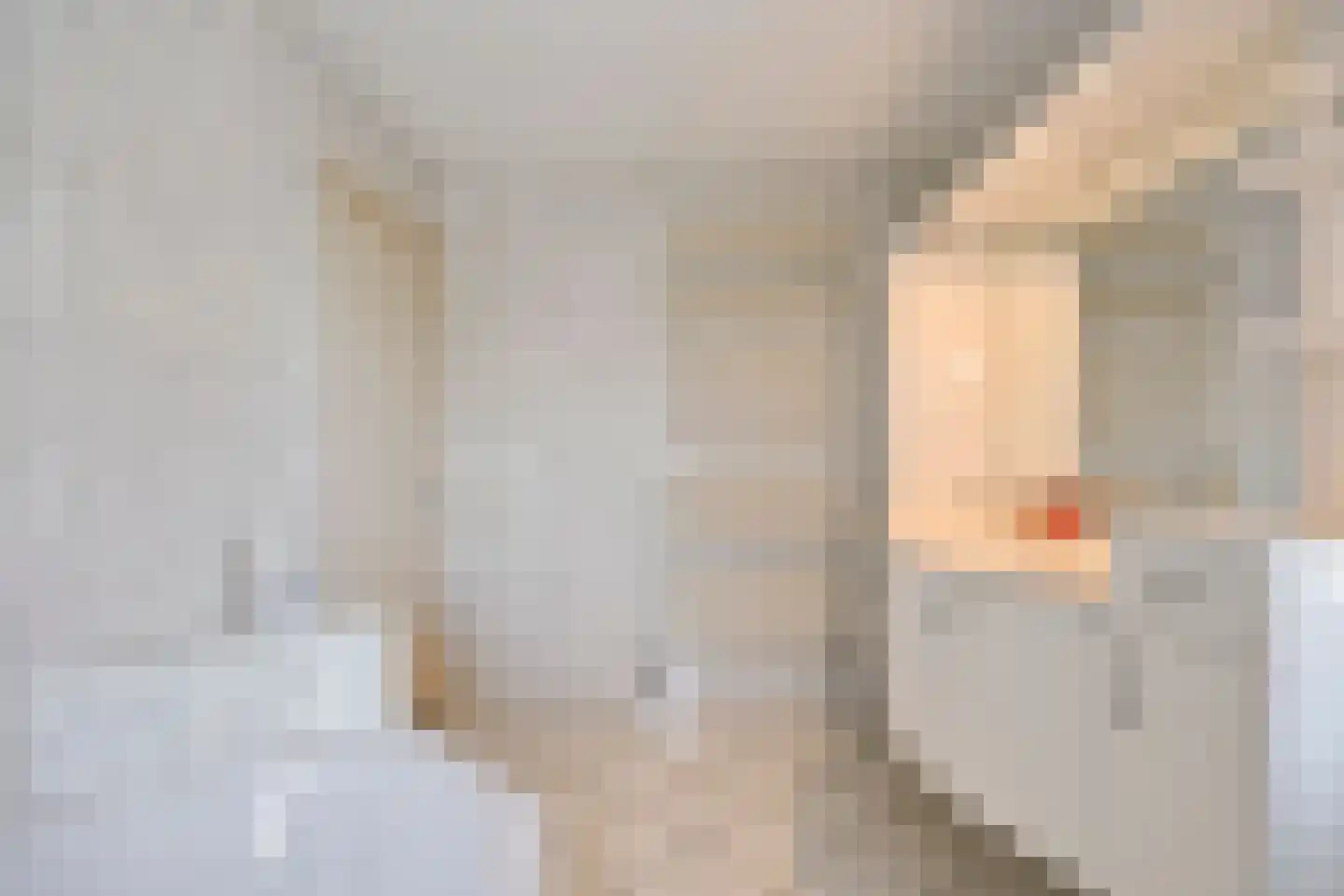 Koekoeksbloem 24 Heerjansdam thumbnail 24