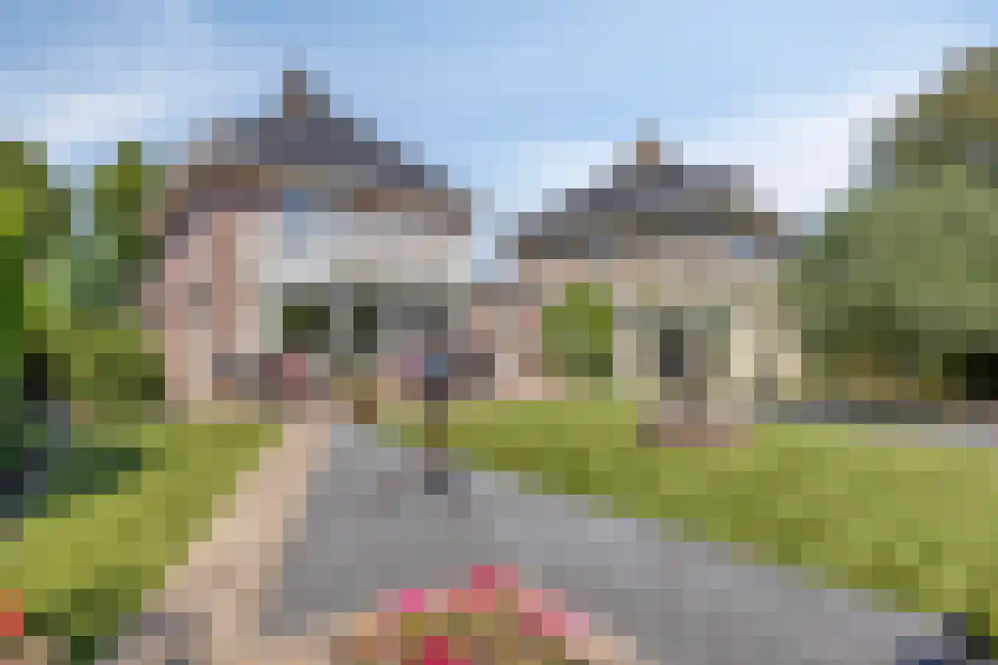 Koekoeksbloem 24 Heerjansdam thumbnail 39