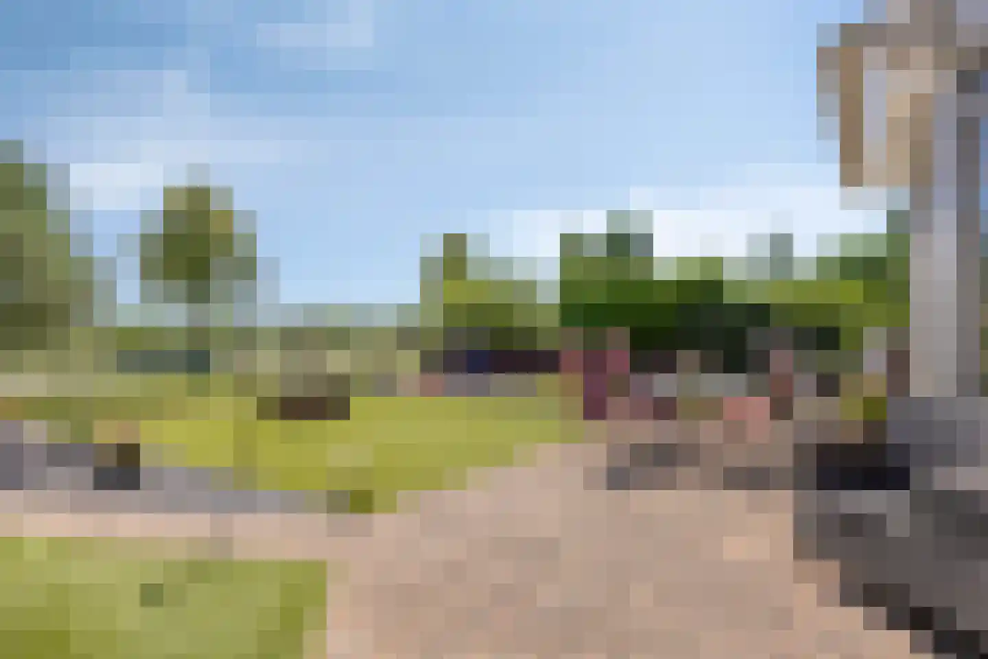 Koekoeksbloem 24 Heerjansdam thumbnail 41