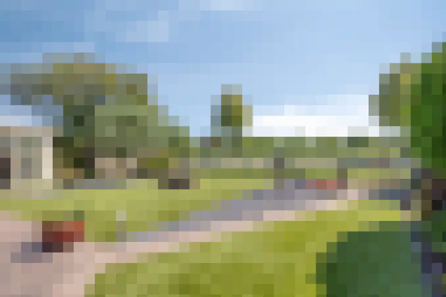 Koekoeksbloem 24 Heerjansdam thumbnail 42