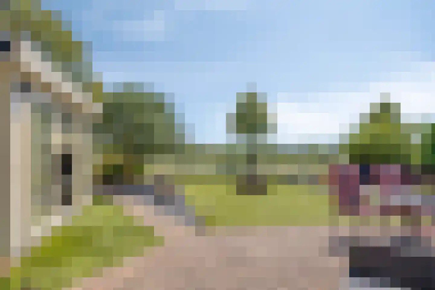 Koekoeksbloem 24 Heerjansdam thumbnail 43
