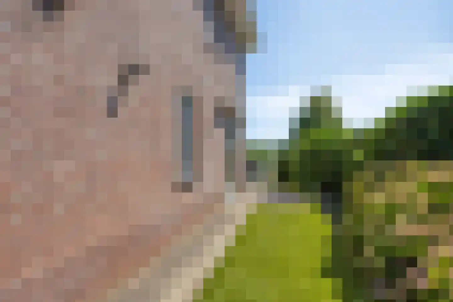 Koekoeksbloem 24 Heerjansdam thumbnail 47
