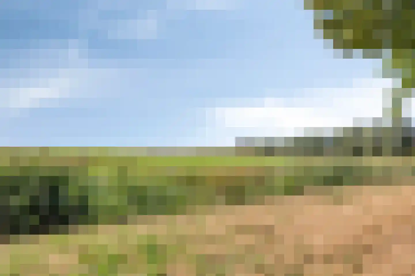 Koekoeksbloem 24 Heerjansdam thumbnail 51