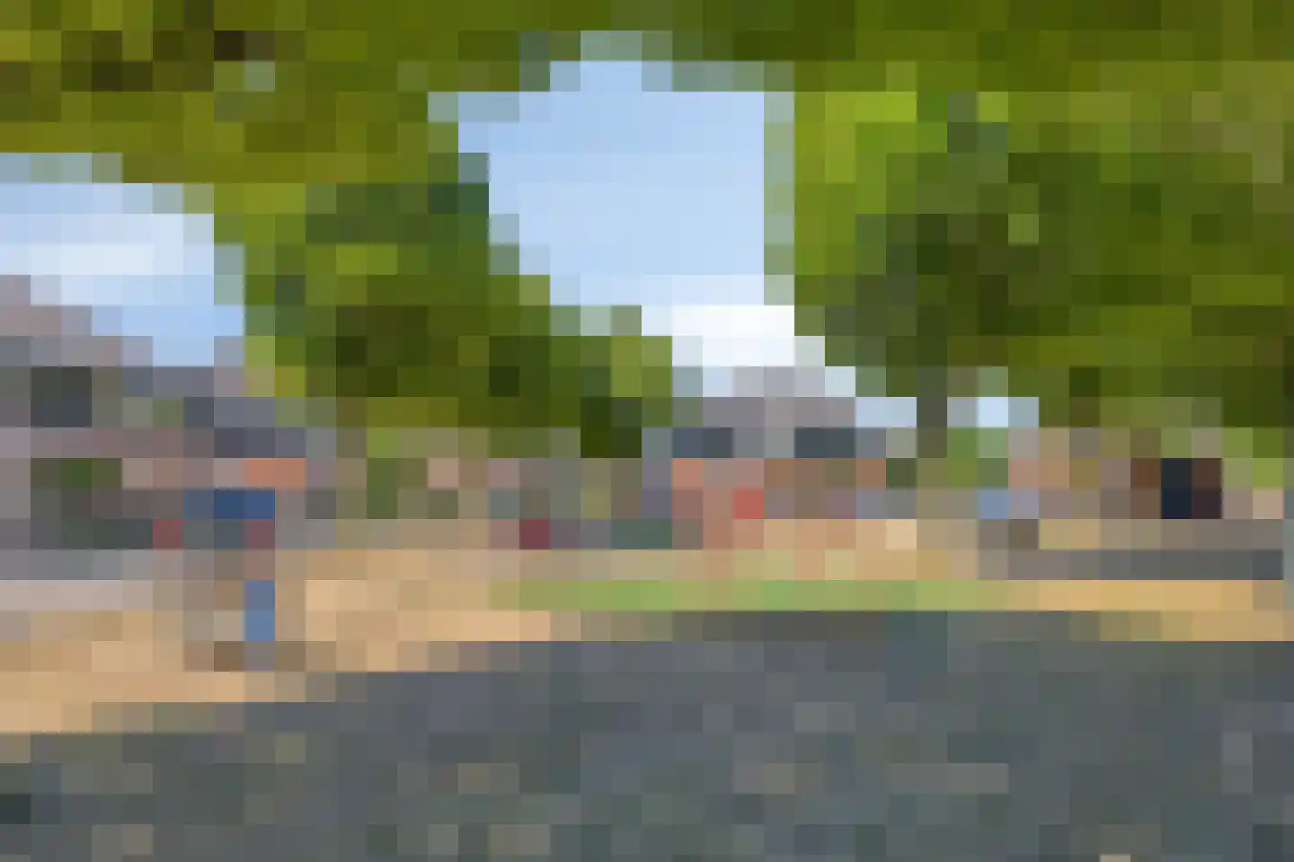 Koekoeksbloem 24 Heerjansdam thumbnail 52