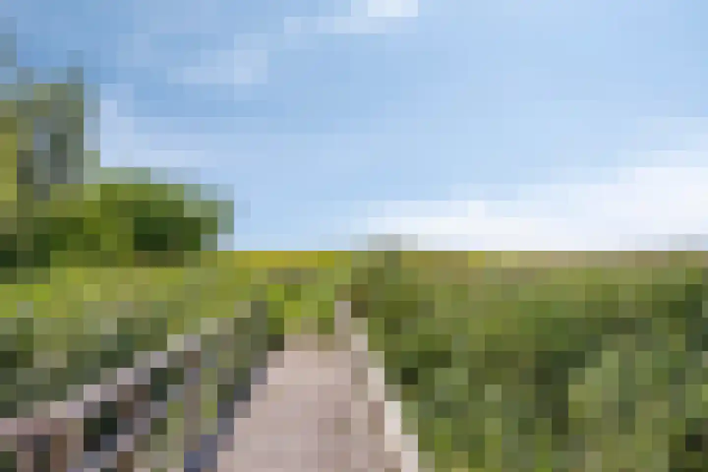 Koekoeksbloem 24 Heerjansdam thumbnail 54