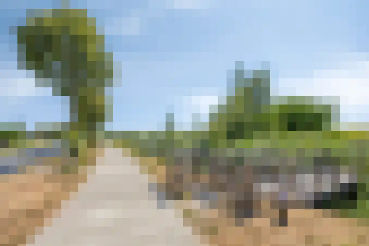 Koekoeksbloem 24 Heerjansdam thumbnail 55