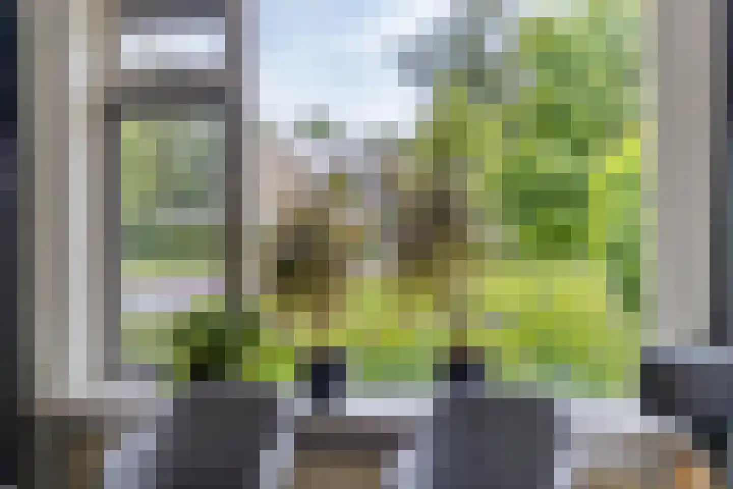 Koekoeksbloem 24 Roden thumbnail 11