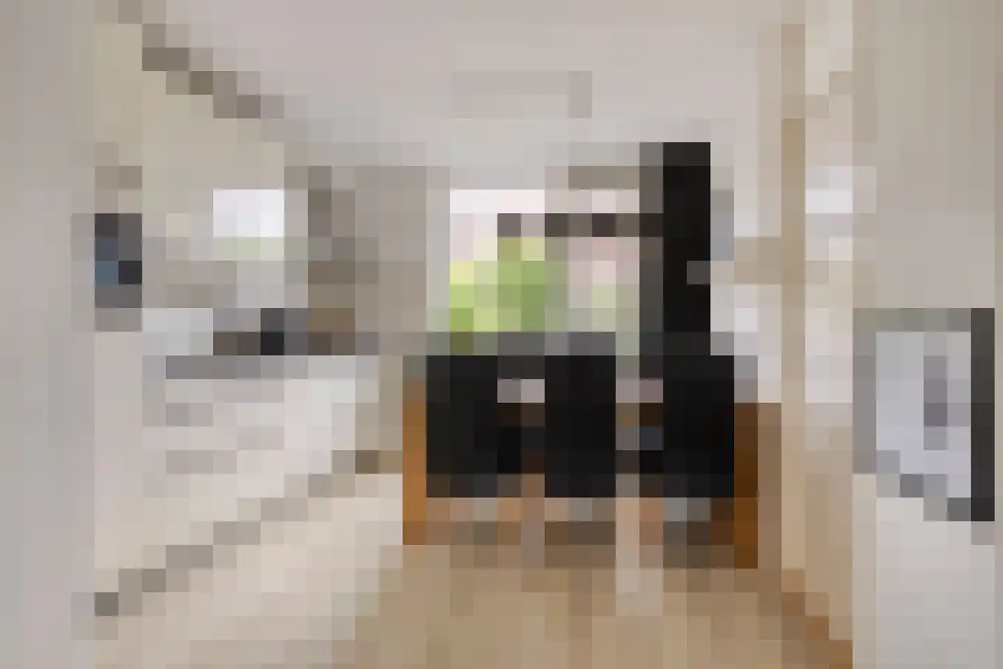 Koekoeksbloem 24 Roden thumbnail 14