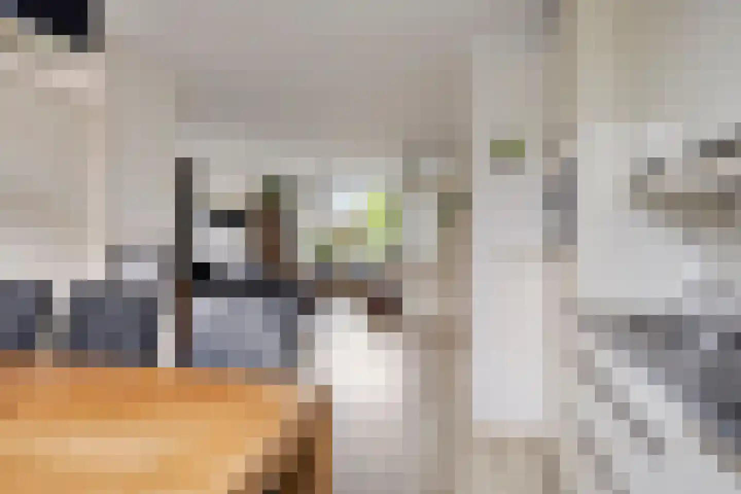 Koekoeksbloem 24 Roden thumbnail 15
