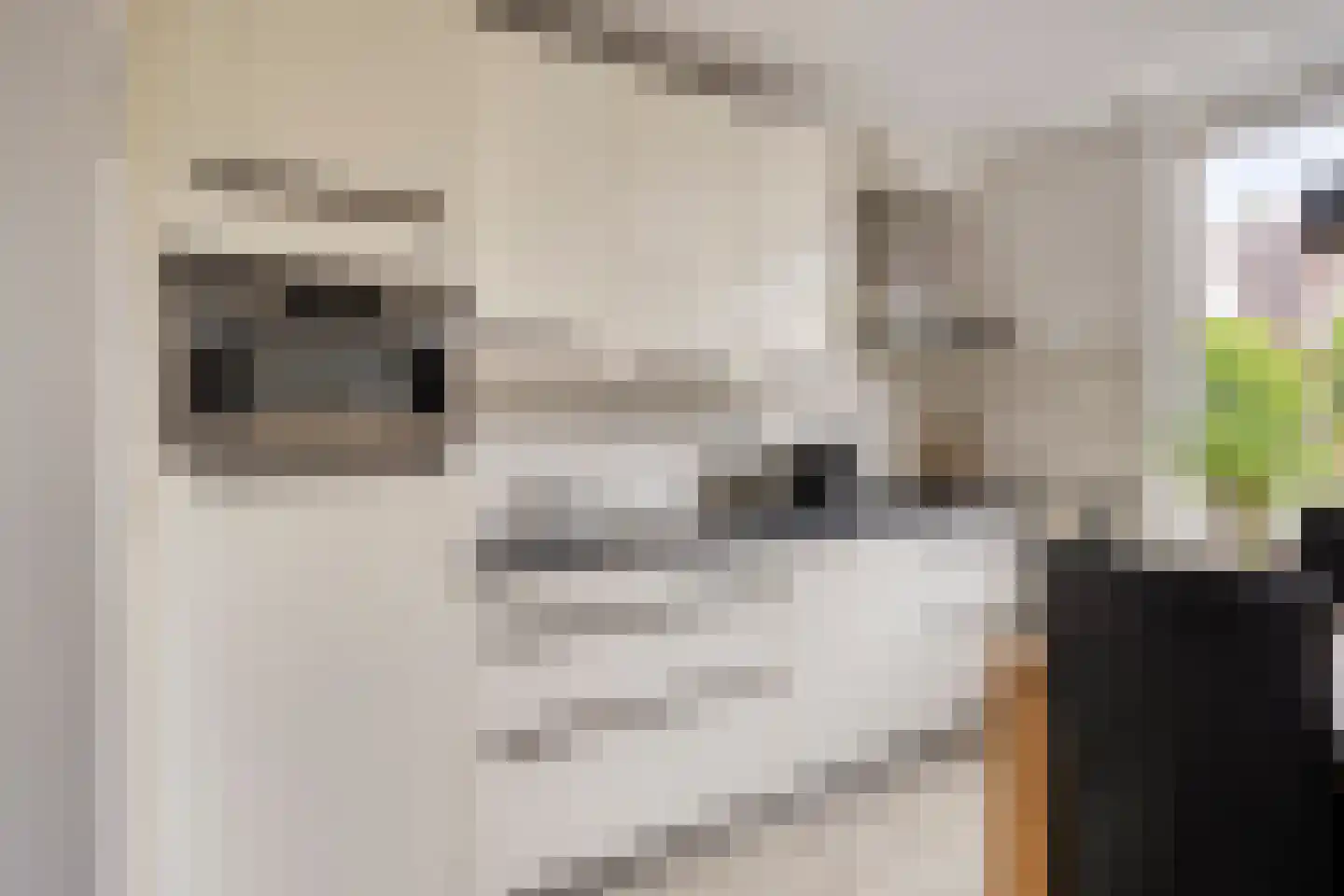 Koekoeksbloem 24 Roden thumbnail 16