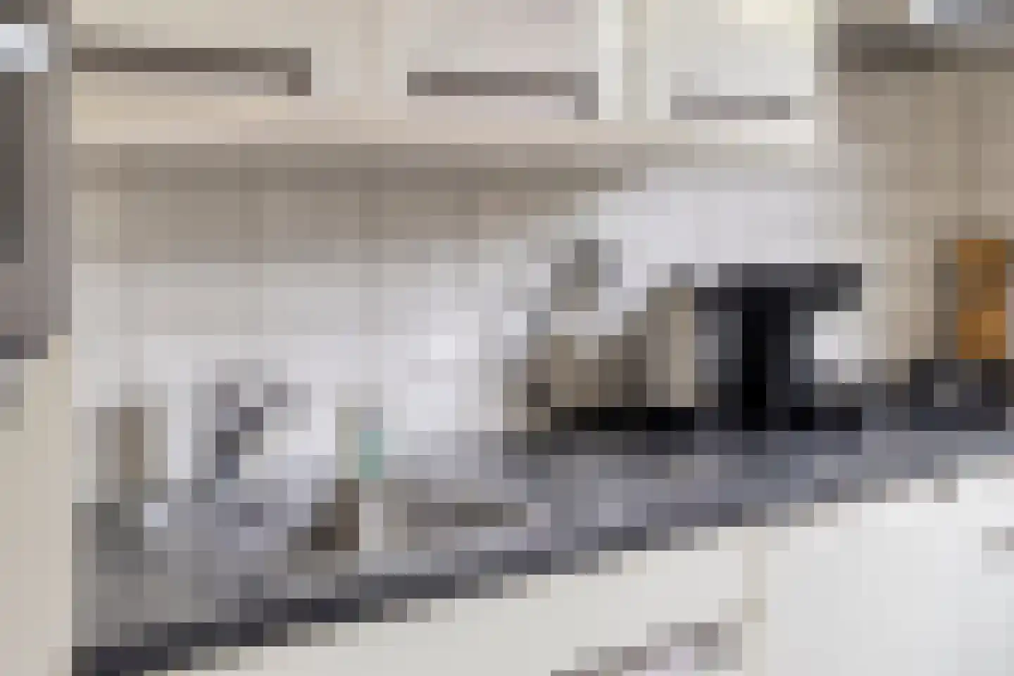 Koekoeksbloem 24 Roden thumbnail 17