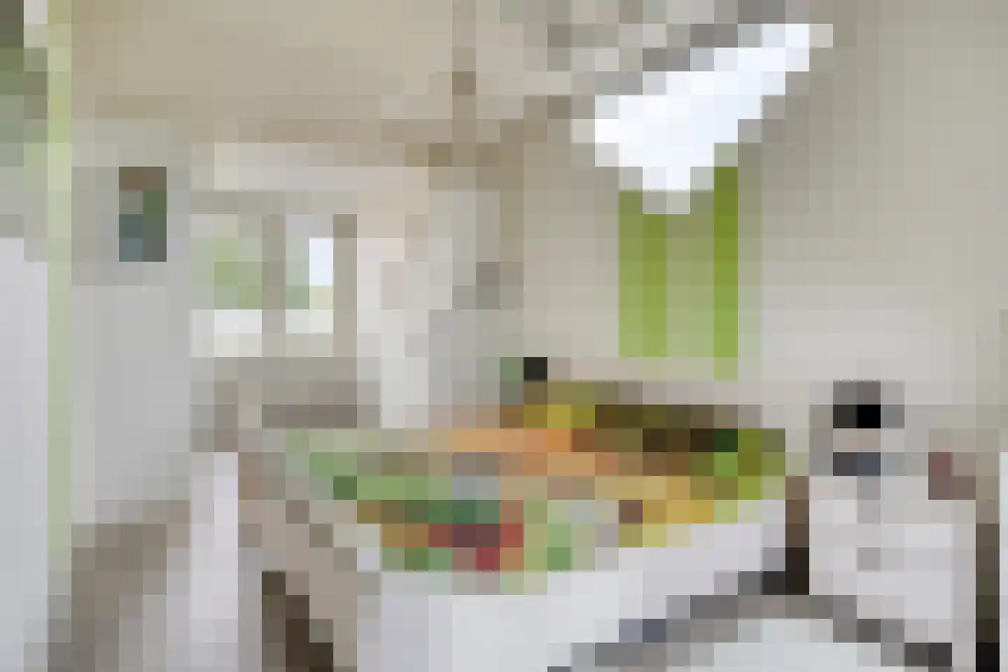 Koekoeksbloem 24 Roden thumbnail 22