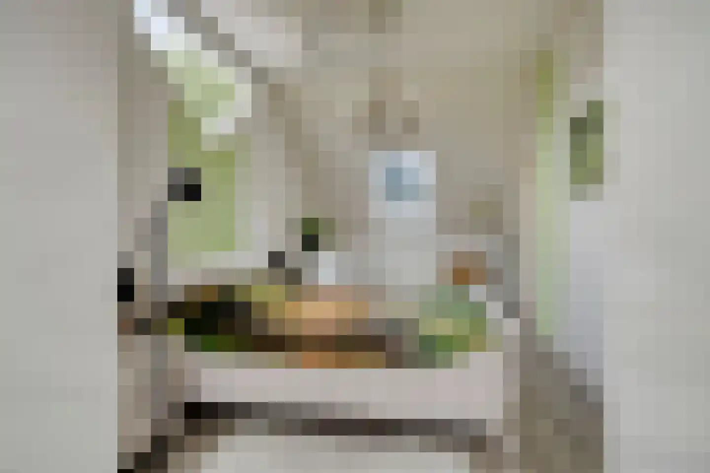 Koekoeksbloem 24 Roden thumbnail 23