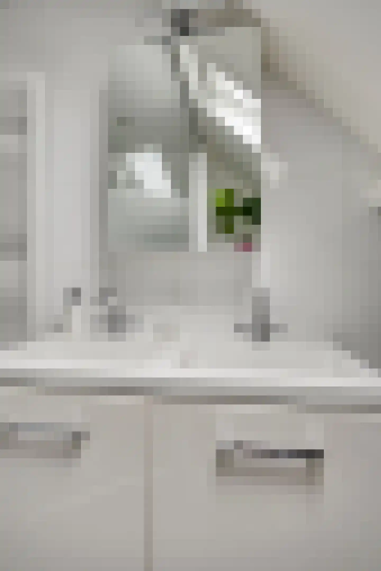 Koekoeksbloem 24 Roden thumbnail 25