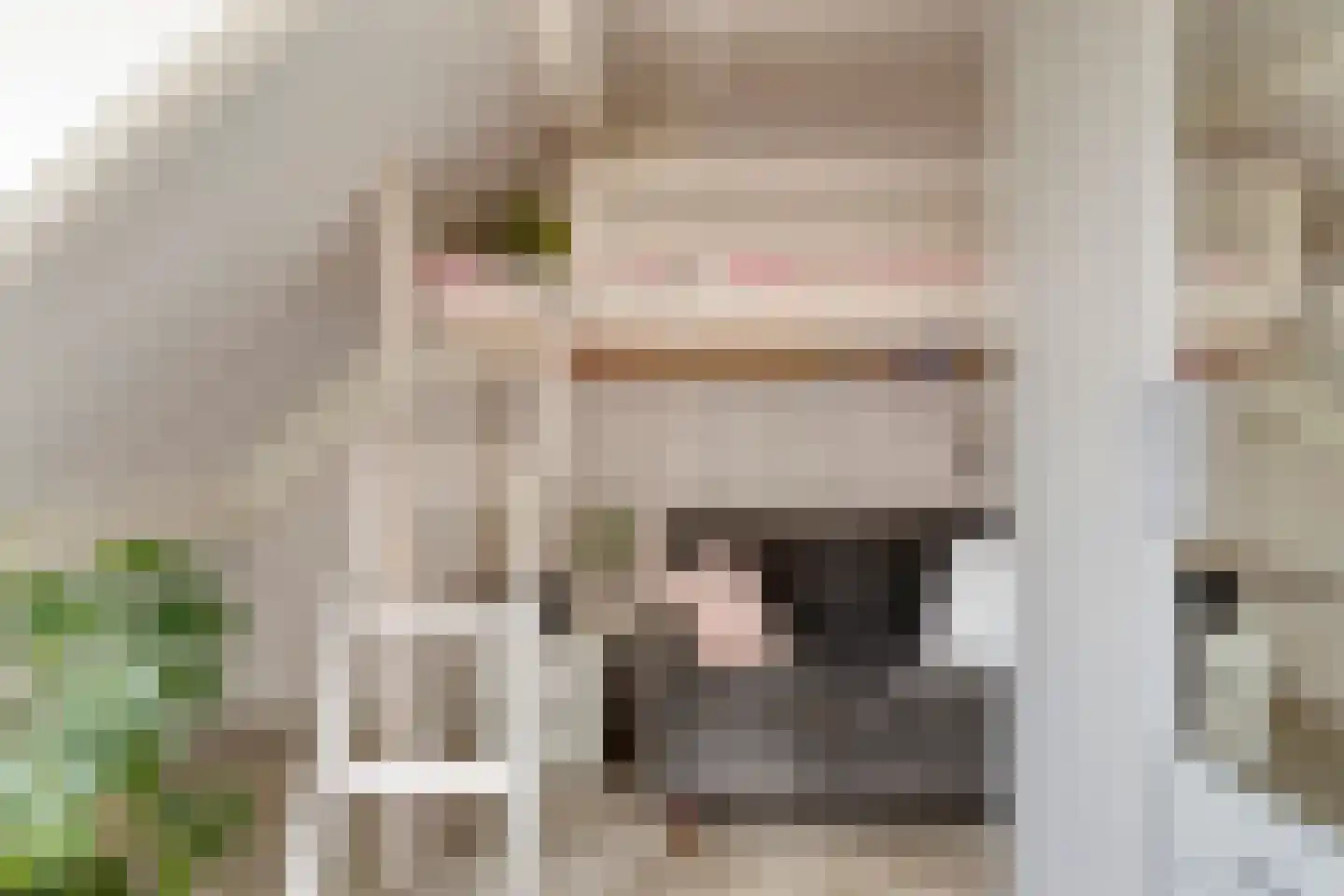 Koekoeksbloem 24 Roden thumbnail 28