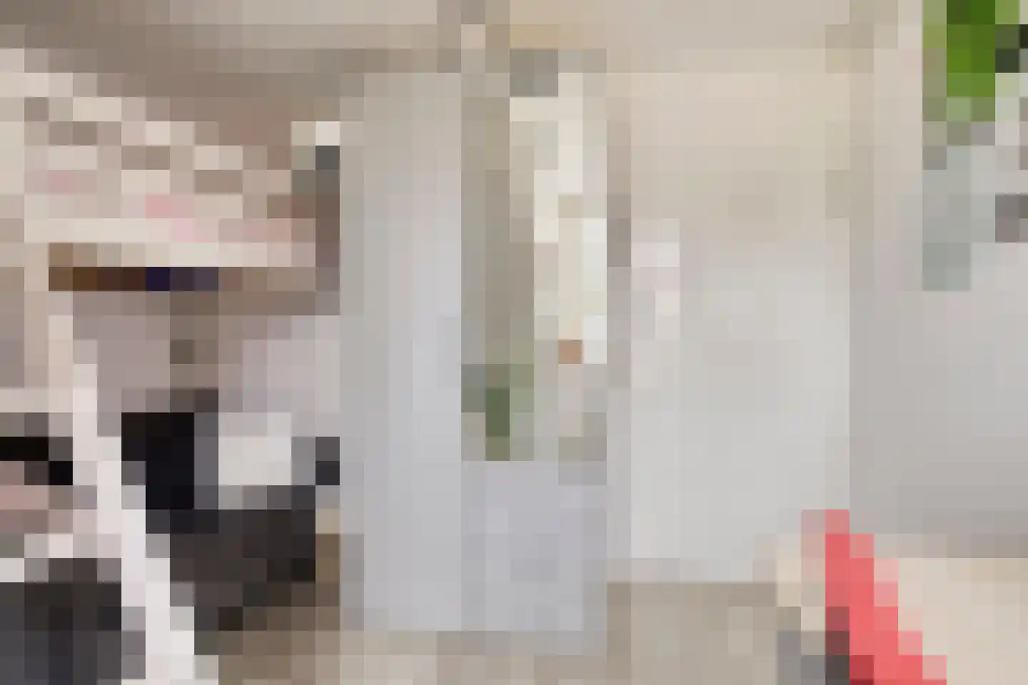 Koekoeksbloem 24 Roden thumbnail 29